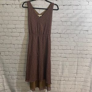 Madewell animal print midi dress